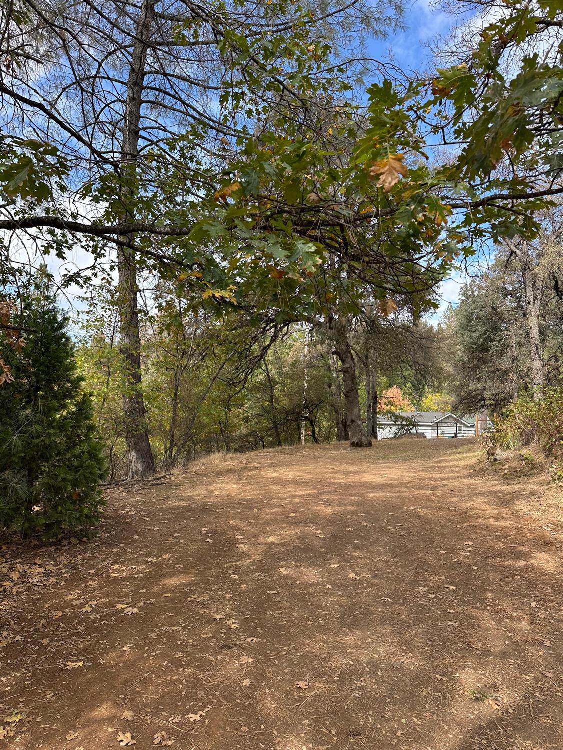 https://bt-photos.global.ssl.fastly.net/sacramento/1280_boomver_1_560940075-2.jpg