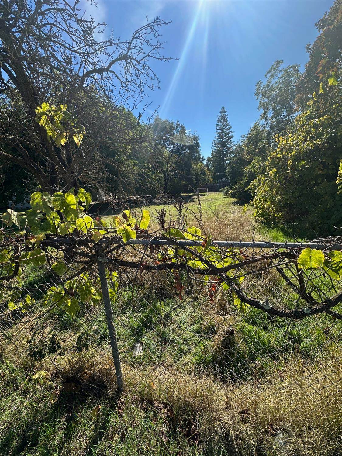 https://bt-photos.global.ssl.fastly.net/sacramento/1280_boomver_1_560942581-2.jpg