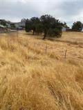 3600 Arrowhead - Photo 3