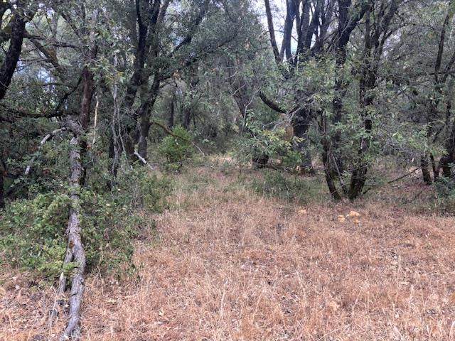 https://bt-photos.global.ssl.fastly.net/sacramento/1280_boomver_1_560944909-2.jpg