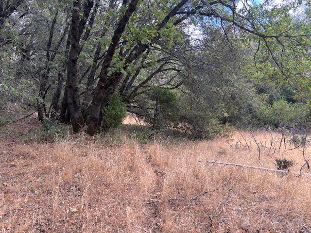 https://bt-photos.global.ssl.fastly.net/sacramento/1280_boomver_1_560944909-2.jpg