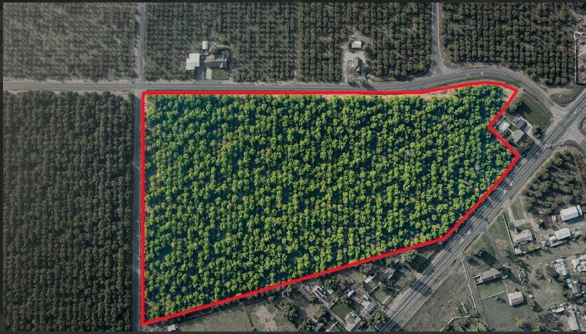 10221 Baker Road - Photo 1