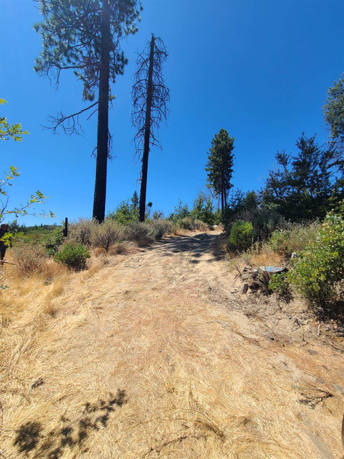 0 Hog Ranch Road - Photo 1