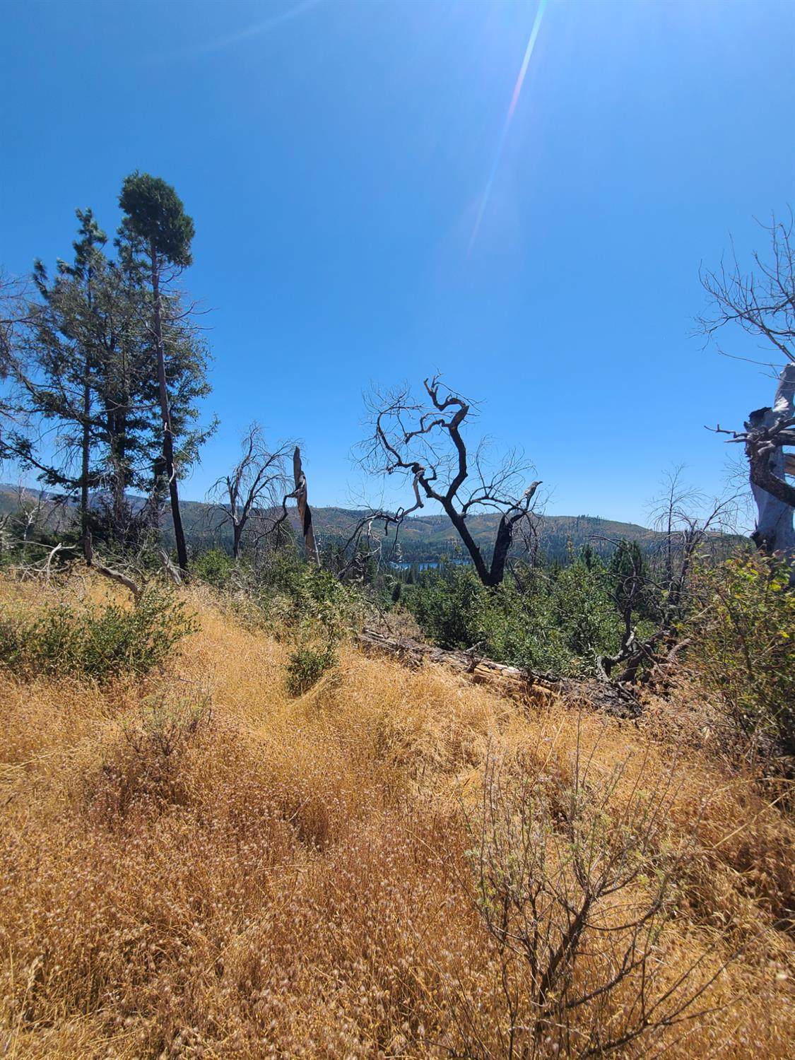 https://bt-photos.global.ssl.fastly.net/sacramento/1280_boomver_1_560946358-2.jpg