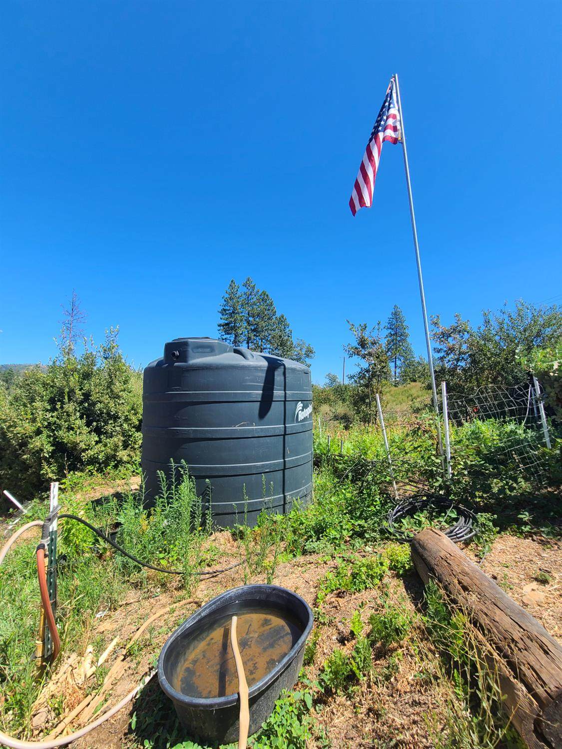 https://bt-photos.global.ssl.fastly.net/sacramento/1280_boomver_1_560946366-2.jpg