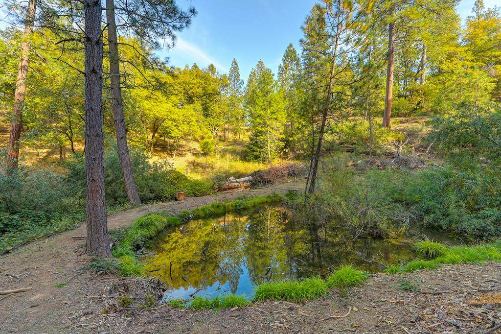 https://bt-photos.global.ssl.fastly.net/sacramento/orig_boomver_1_560947108-2.jpg