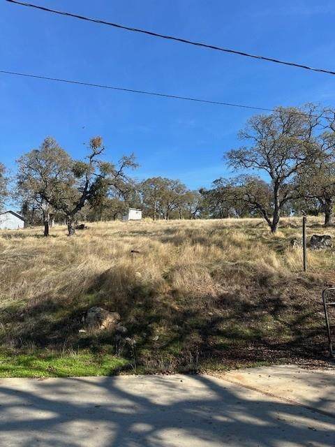 3930 Dunn Road - Photo 1