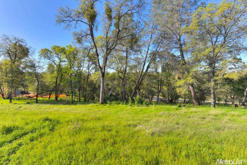 4045 Raphael Drive - Photo 1