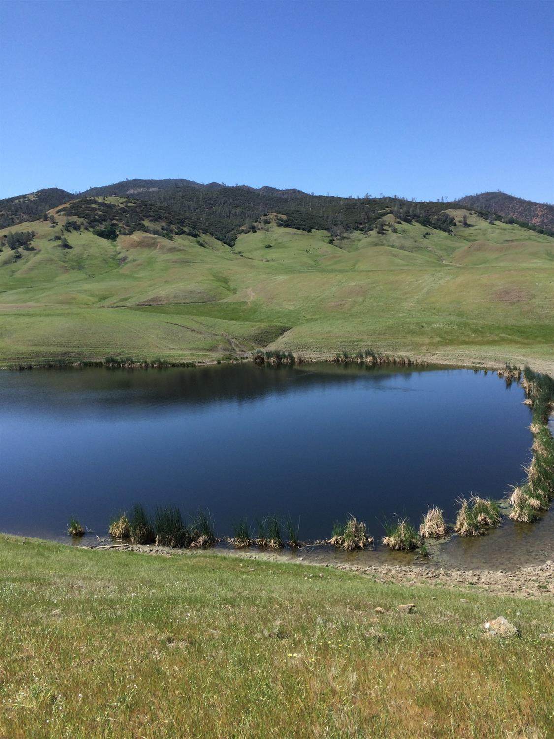 https://bt-photos.global.ssl.fastly.net/sacramento/orig_boomver_1_560951205-2.jpg