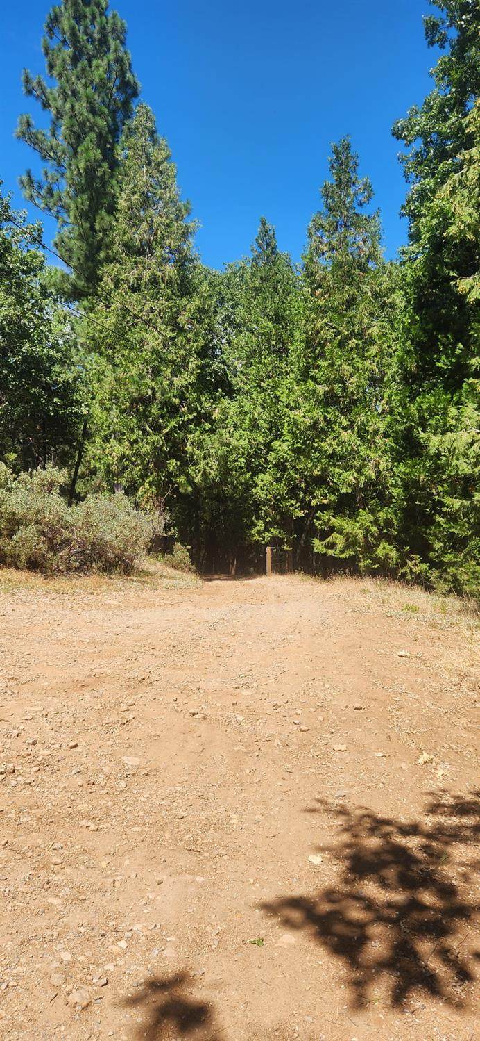 16949 Jones Ridge Road - Photo 1