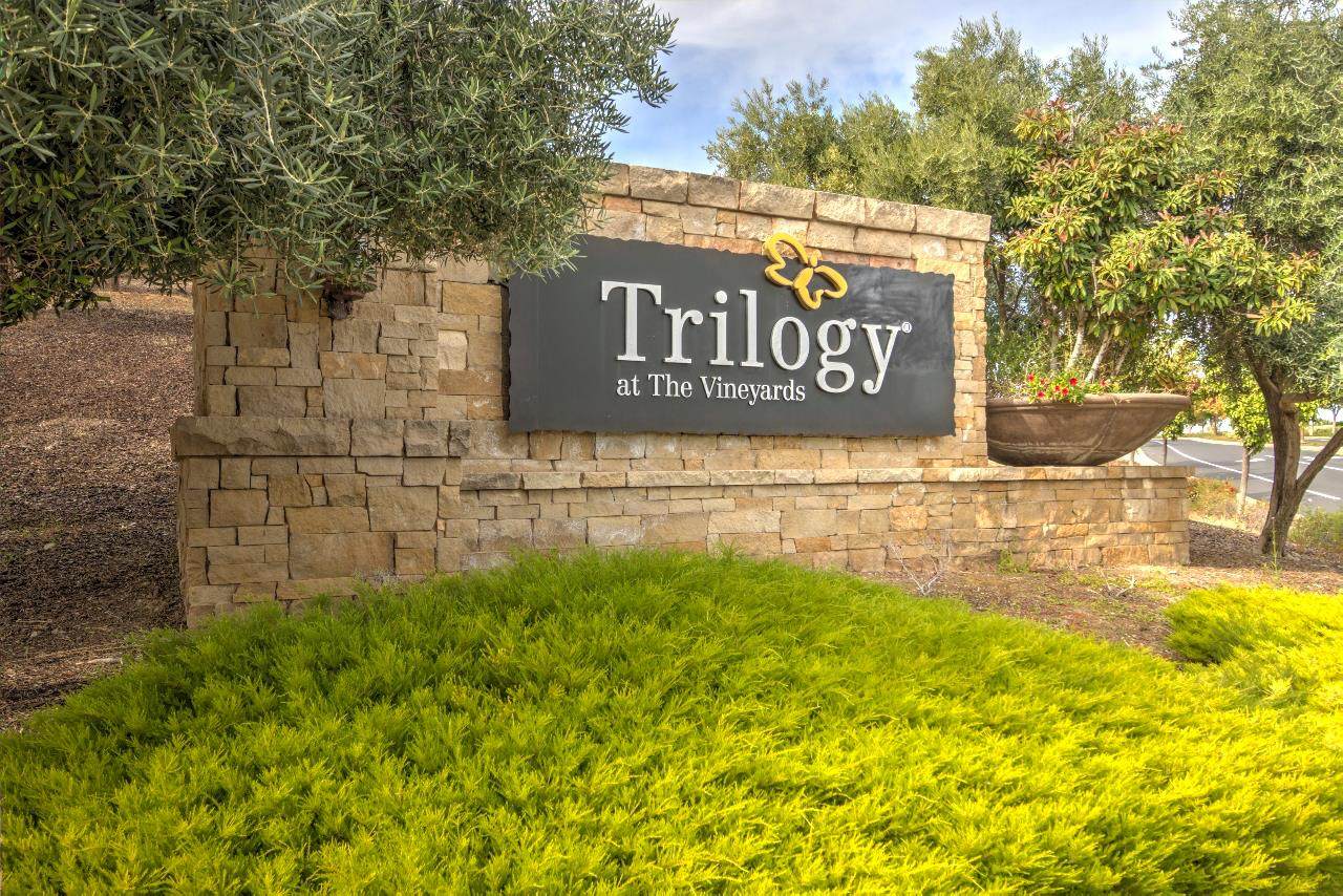 1657 Gamay Lane - Photo 1