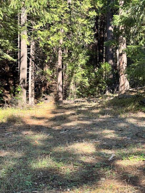 17630 Antelope Drive E Drive - Photo 1