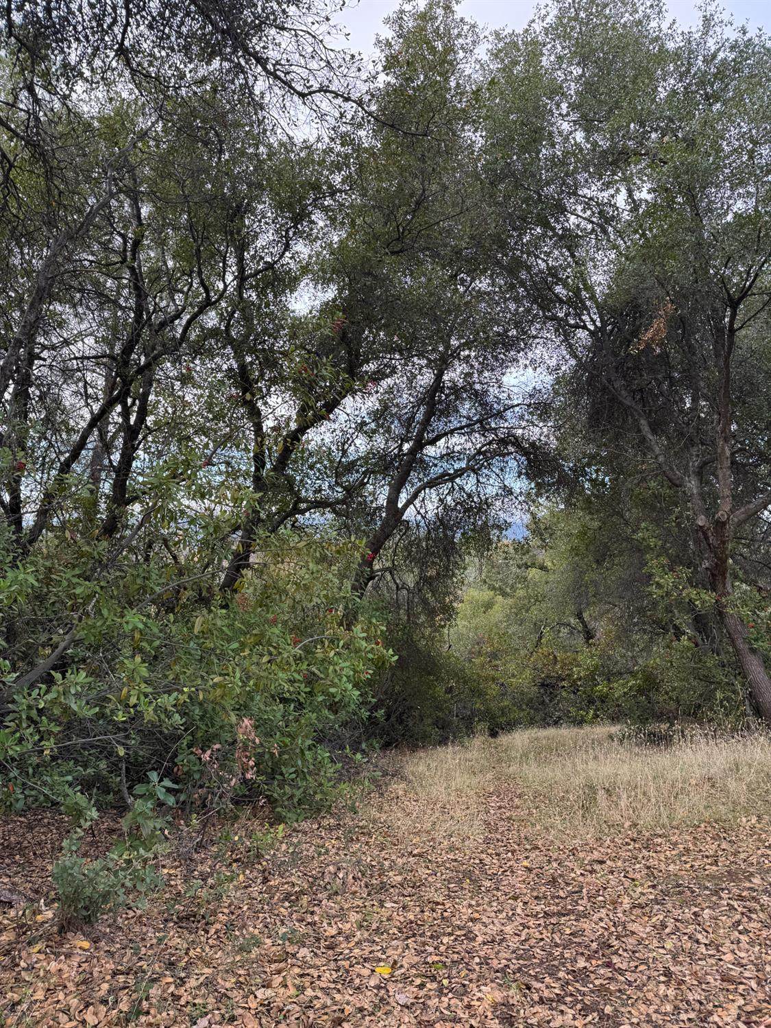 0 Bowman Road - Photo 1