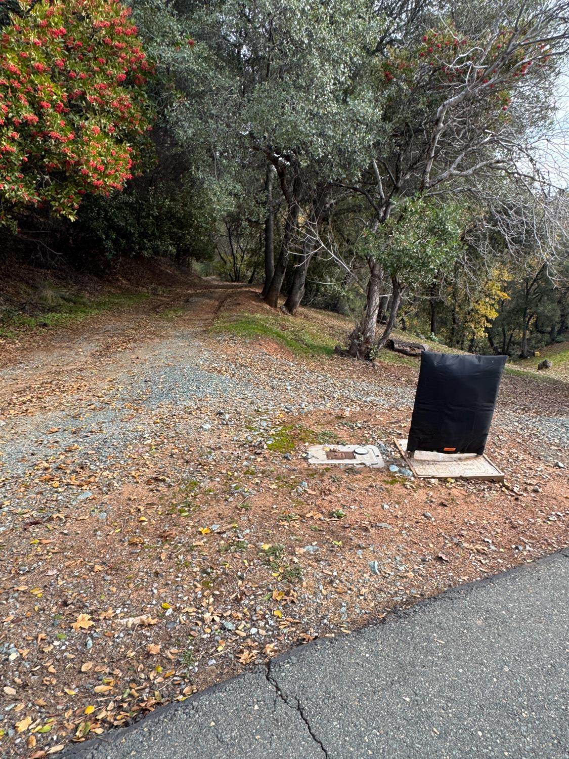 https://bt-photos.global.ssl.fastly.net/sacramento/orig_boomver_1_560959383-2.jpg