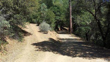 https://bt-photos.global.ssl.fastly.net/sacramento/orig_boomver_1_560960451-2.jpg