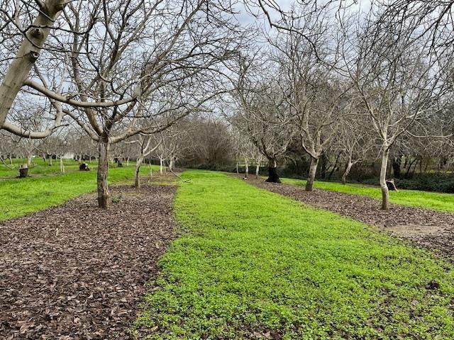 27436 County Road 91A - Photo 1