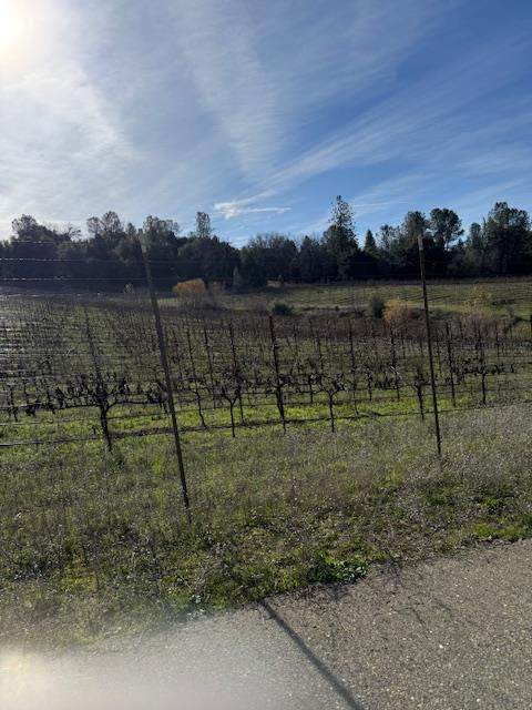 7017 Idlewild Rd - Photo 1