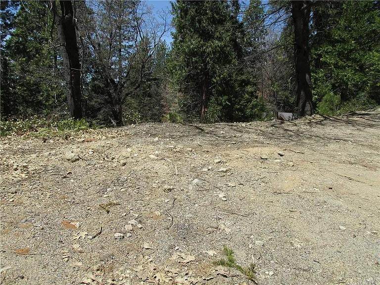 7342 Yosemite Park Way - Photo 1