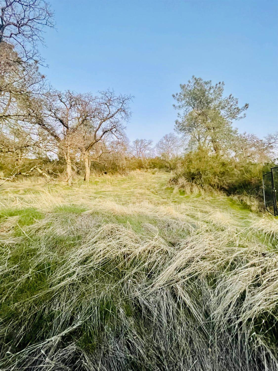 https://bt-photos.global.ssl.fastly.net/sacramento/1280_boomver_1_560966667-2.jpg