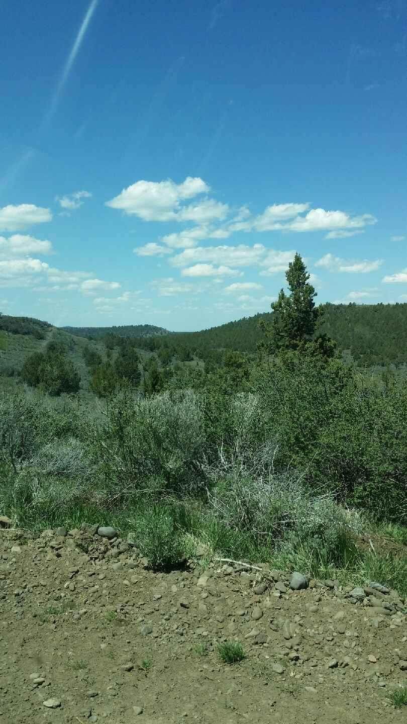 https://bt-photos.global.ssl.fastly.net/sacramento/orig_boomver_1_560966825-2.jpg