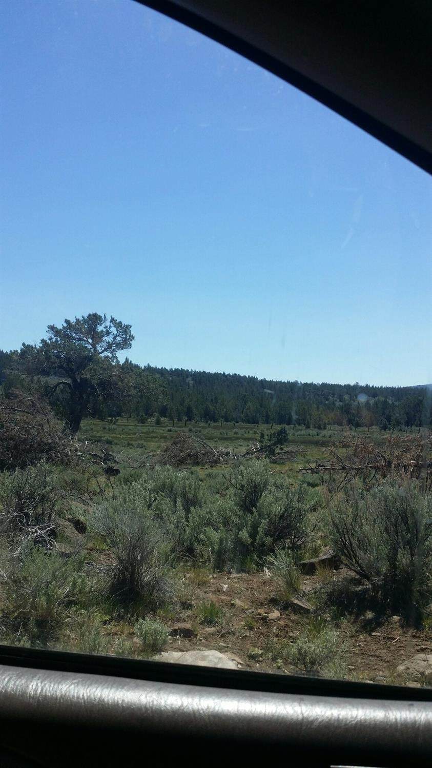 0 Clarks Valley Road - Photo 1