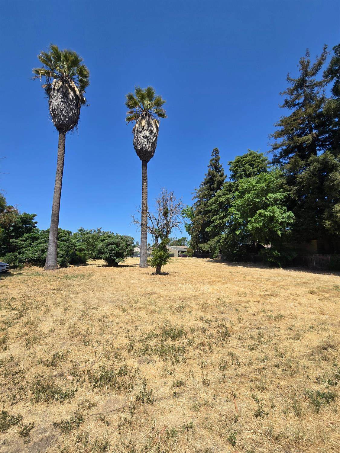 https://bt-photos.global.ssl.fastly.net/sacramento/orig_boomver_1_560967103-2.jpg