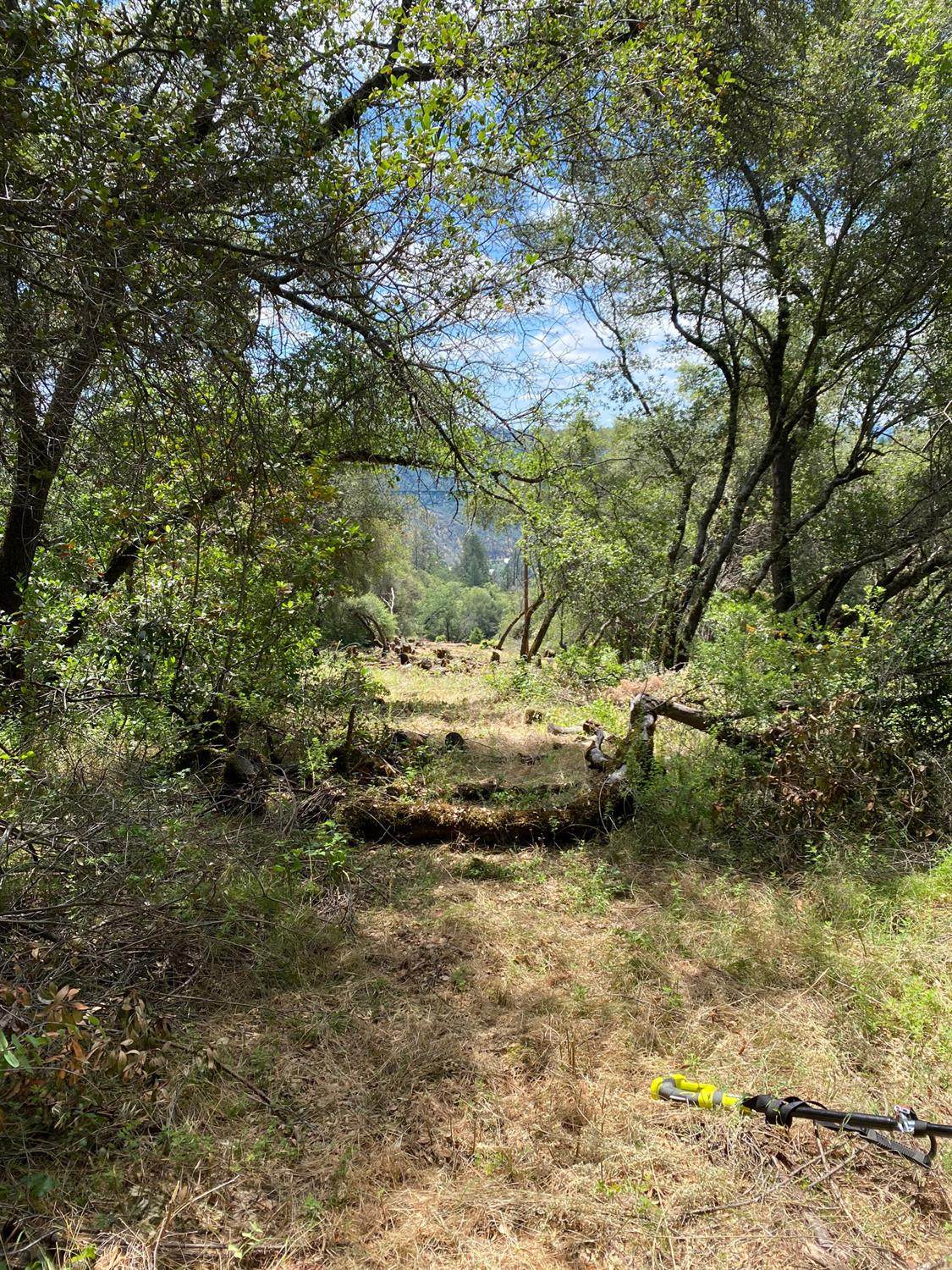 https://bt-photos.global.ssl.fastly.net/sacramento/orig_boomver_1_560967165-2.jpg