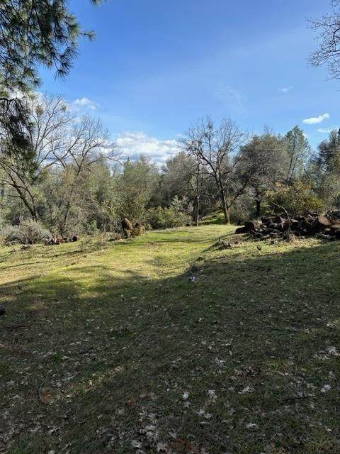 6271 Arch Lane - Photo 1