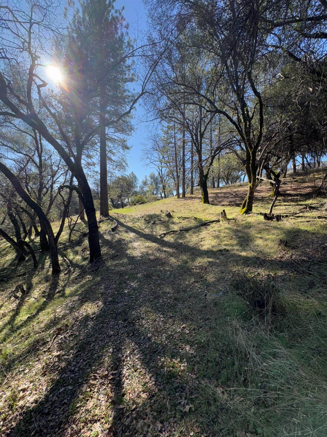 https://bt-photos.global.ssl.fastly.net/sacramento/orig_boomver_1_560967774-2.jpg