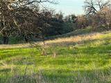 627 Merced Falls - Photo 4