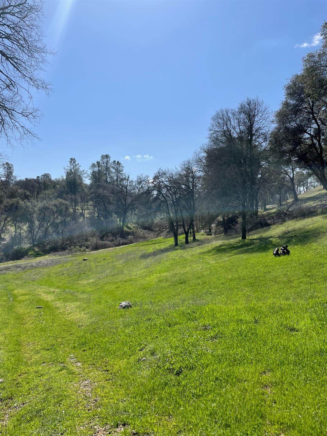 6715 Grass Valley Highway - Photo 1