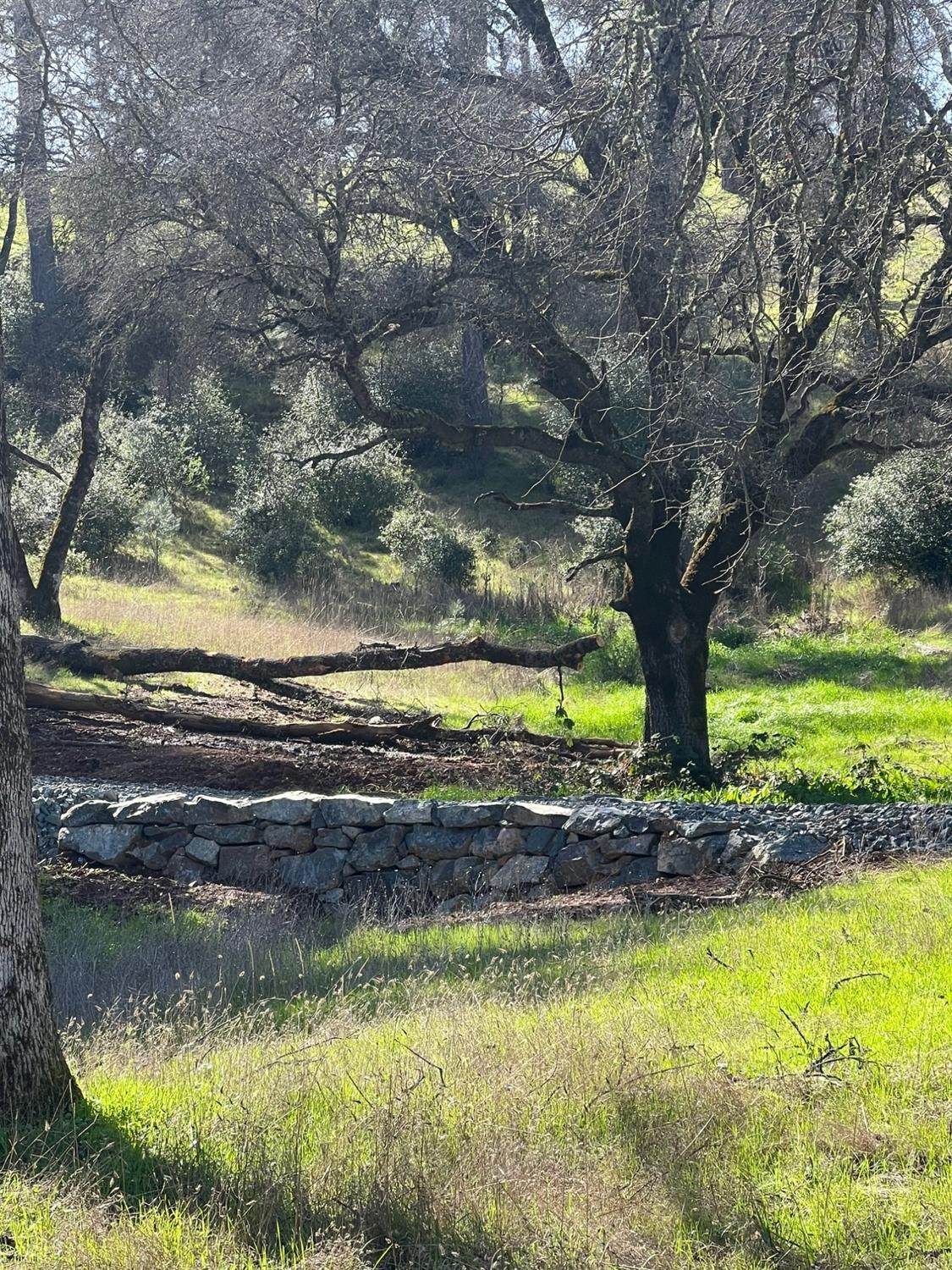 https://bt-photos.global.ssl.fastly.net/sacramento/orig_boomver_1_560968481-2.jpg