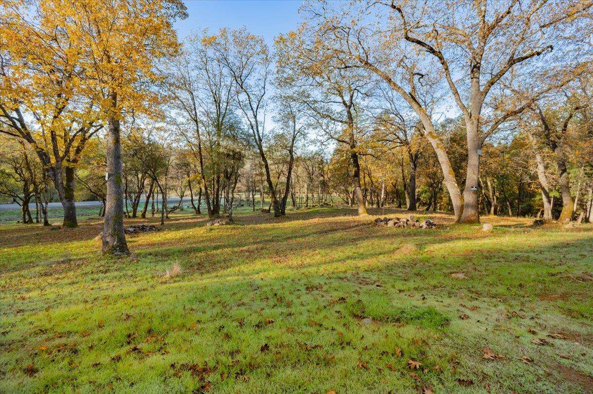10746 Ponderosa Way - Photo 1