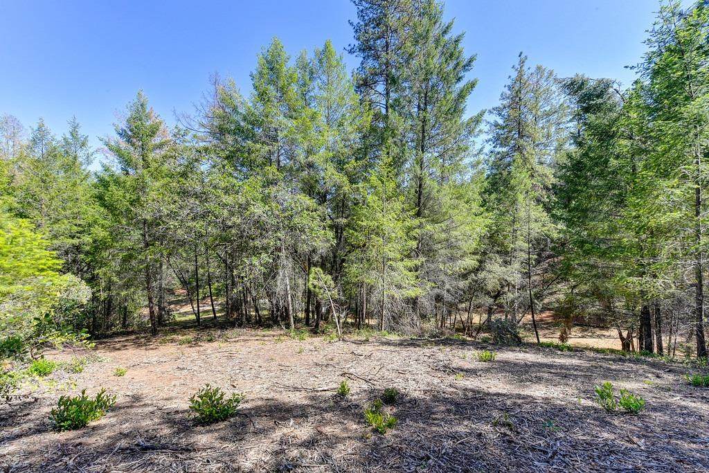 2000 Ponderosa Way - Photo 1