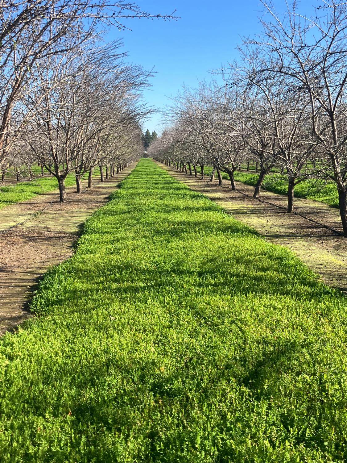 https://bt-photos.global.ssl.fastly.net/sacramento/orig_boomver_1_560969908-2.jpg
