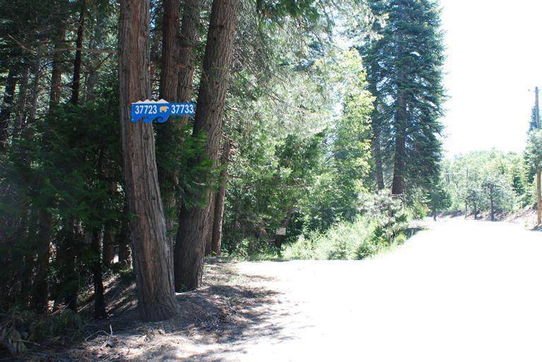 https://bt-photos.global.ssl.fastly.net/sacramento/orig_boomver_1_560970884-2.jpg