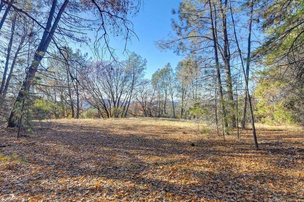 23050 Retherford Road - Photo 1
