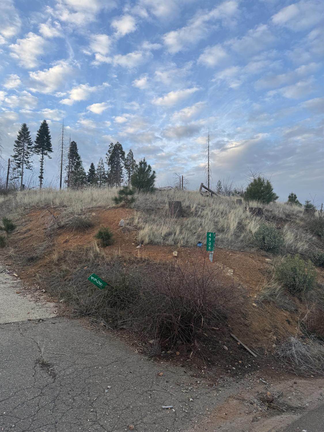 https://bt-photos.global.ssl.fastly.net/sacramento/orig_boomver_1_560974322-2.jpg