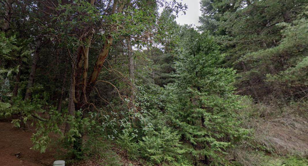 25890 Golf Links Drive - Photo 1