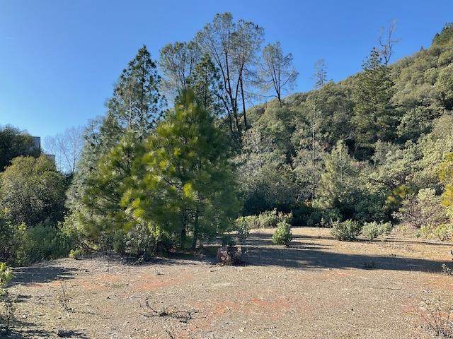 1445 Gallows - Photo 1