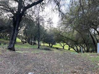https://bt-photos.global.ssl.fastly.net/sacramento/orig_boomver_1_561029584-2.jpg