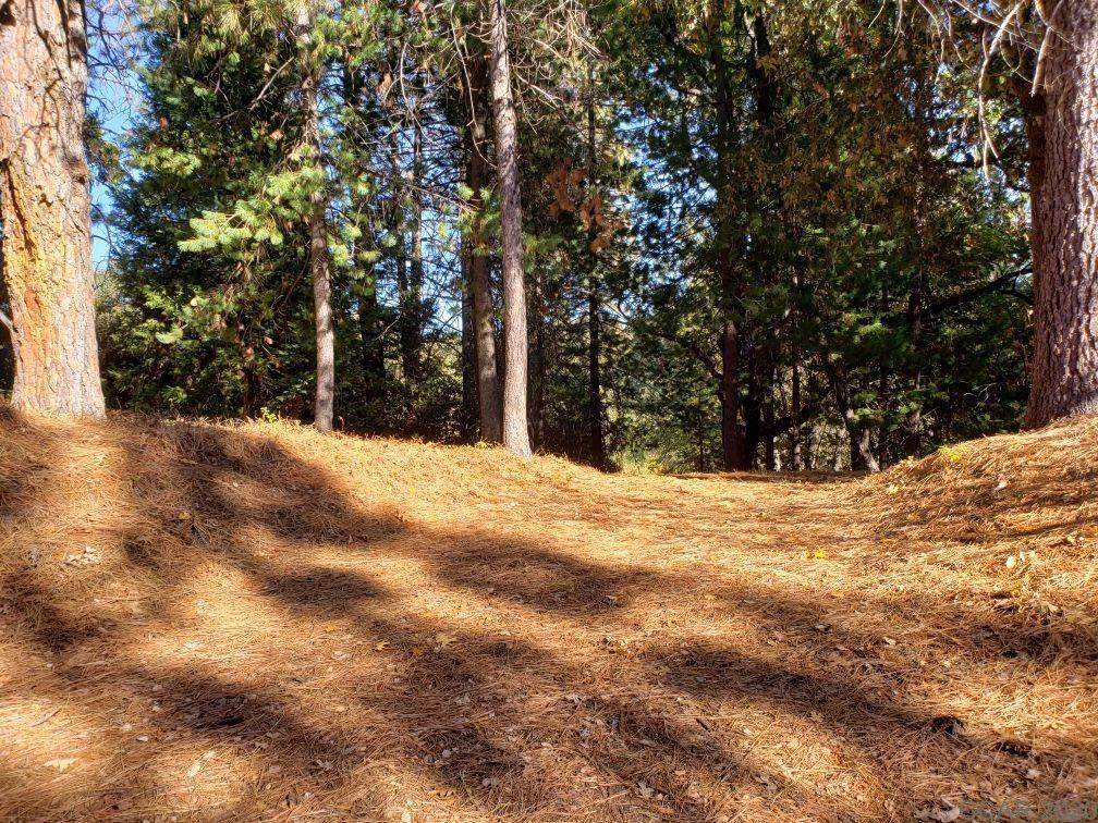 1812 Sandalwood - Photo 1