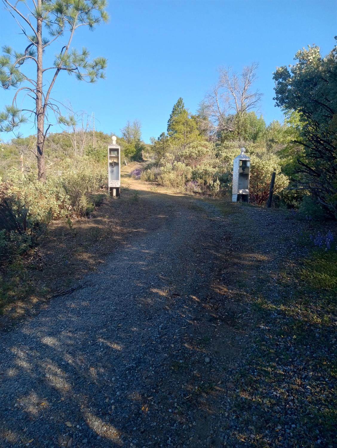 16140 Baker Riley Road - Photo 1