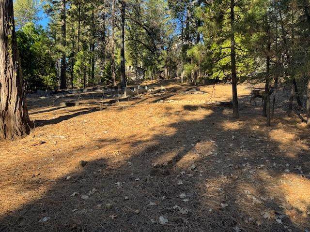 2698 Country Club Drive - Photo 1