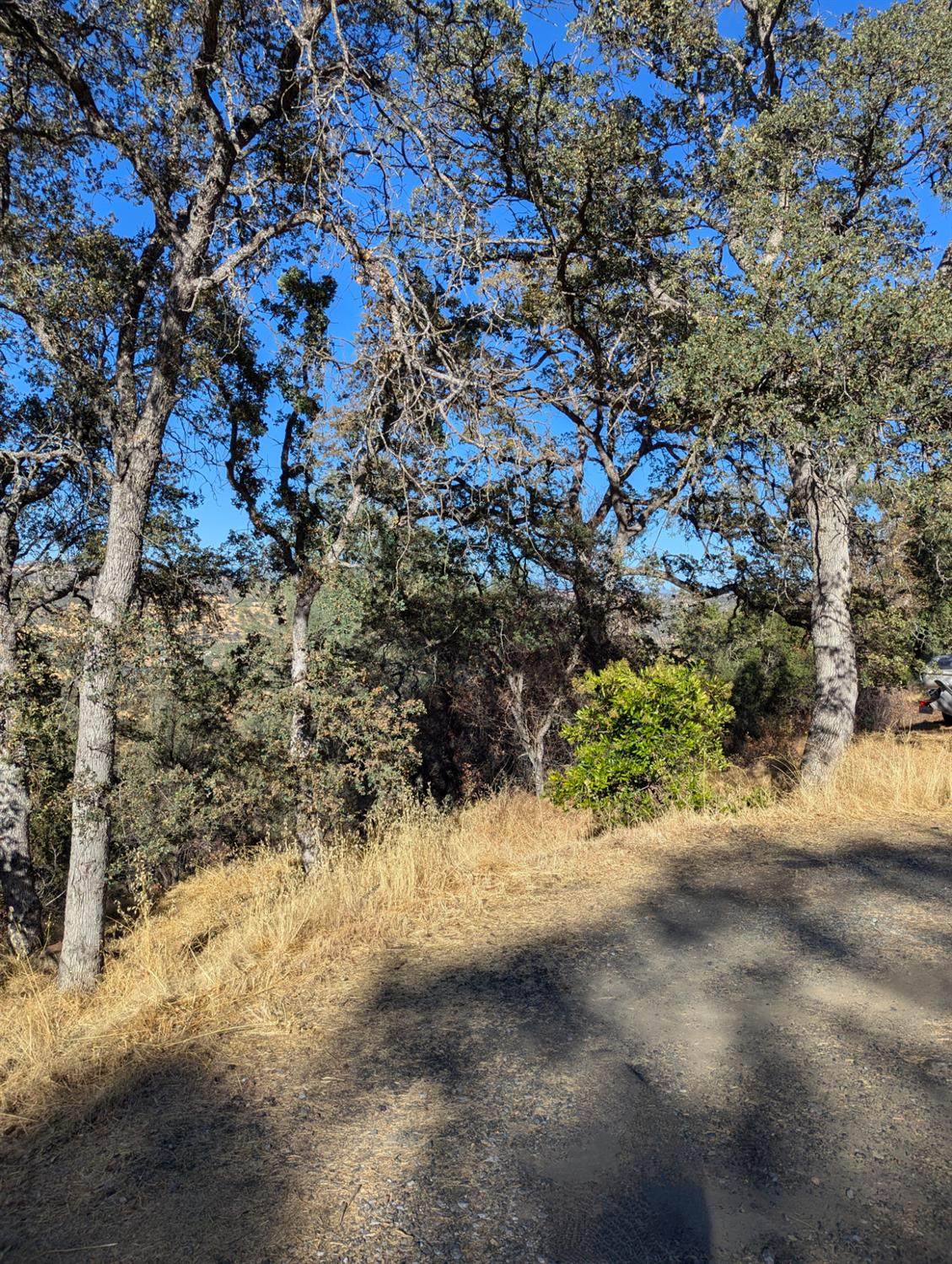 https://bt-photos.global.ssl.fastly.net/sacramento/1280_boomver_1_561030576-2.jpg