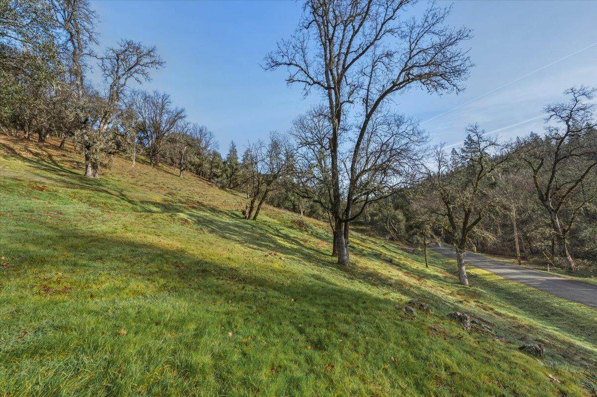 15824 Clover Valley Road - Photo 1
