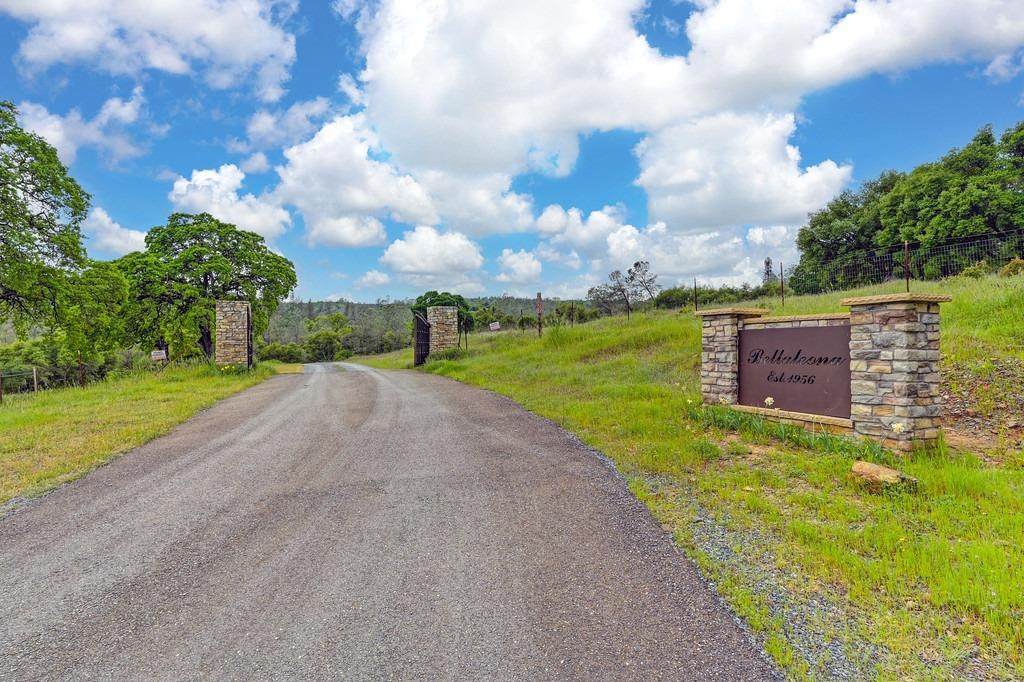 4822 Salmon Falls Road - Photo 1