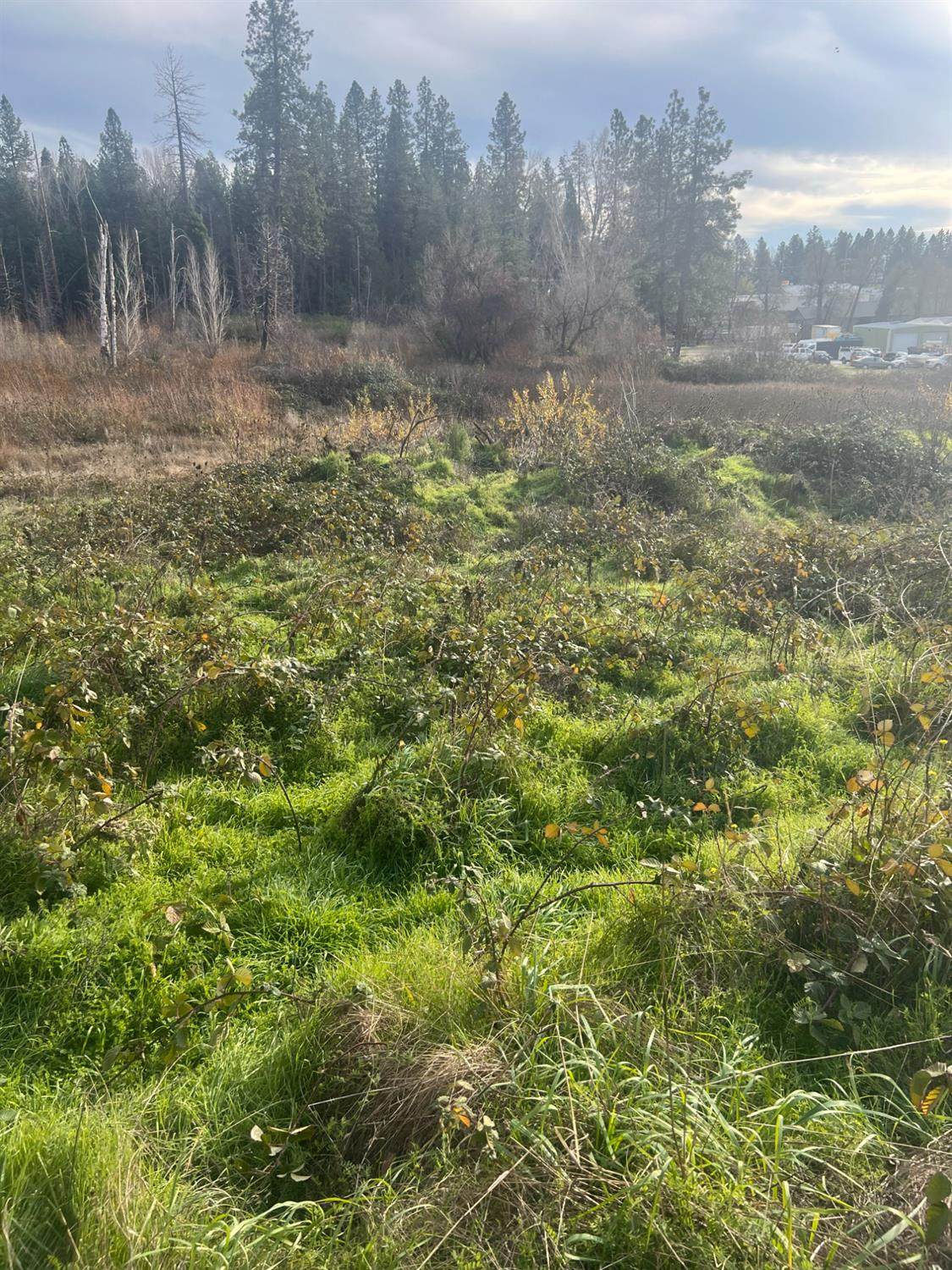 0 South Auburn Street - Photo 1