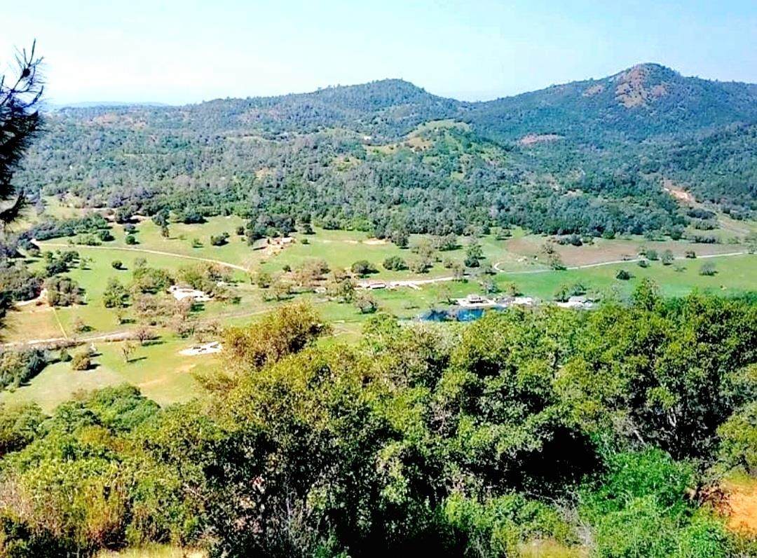 1669 Pinto Drive - Photo 1