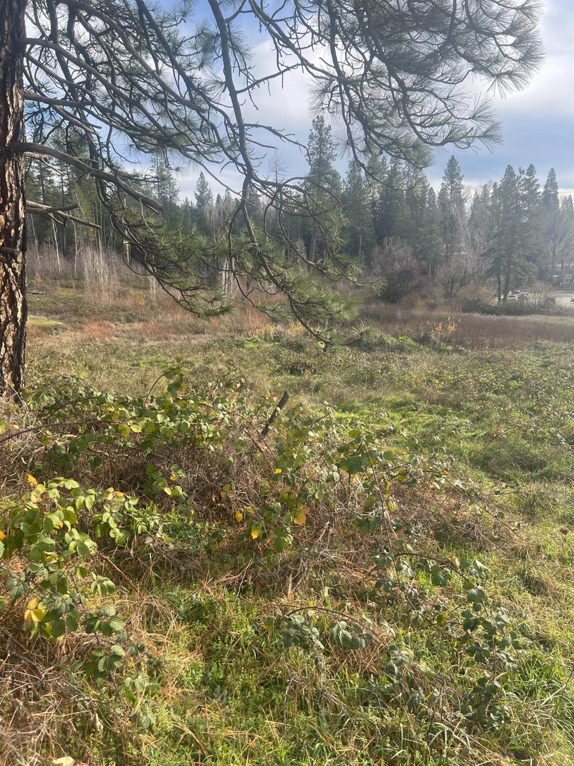 0 Adams Lane - Photo 1